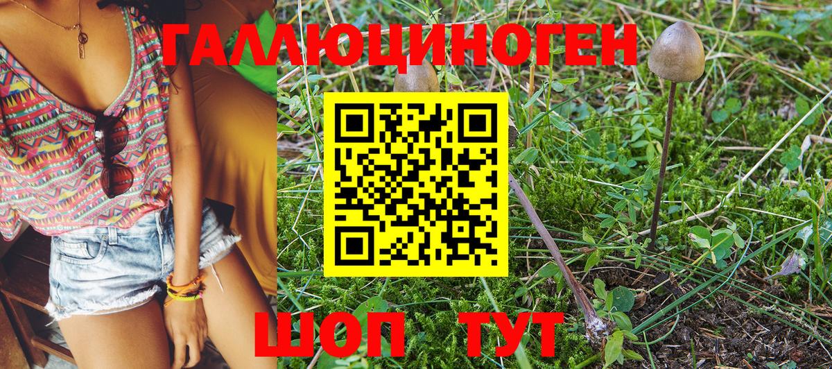 Псилоцибиновые грибы Magic Shrooms Донецк