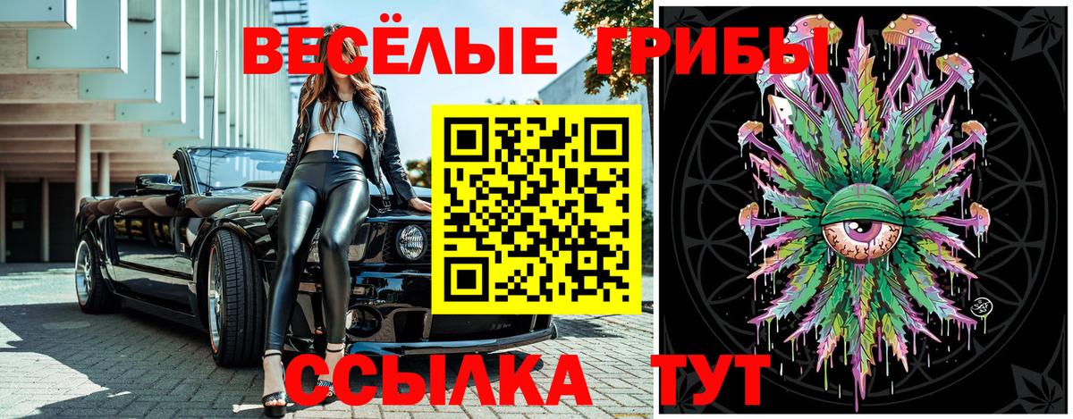 Донецк  Галлюциногенные грибы Psilocybine cubensis  Вход с VPN 